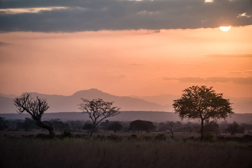 Parc national de Mikumi, Tanzanie