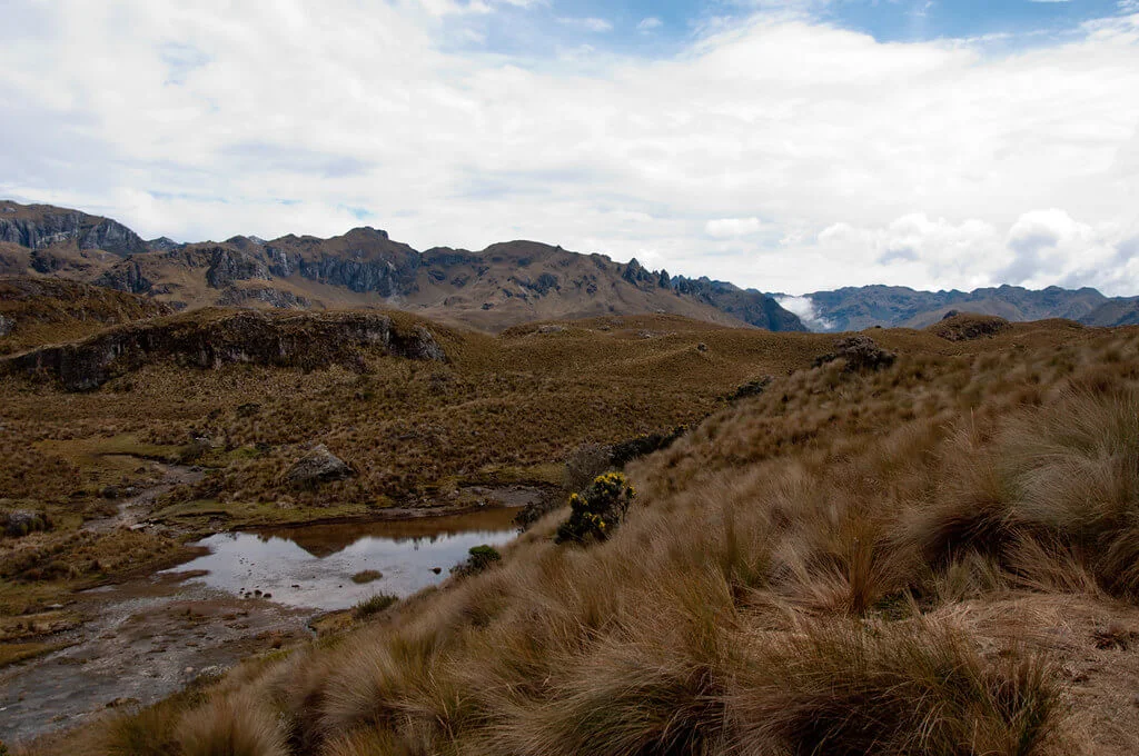 Parc national Cajas, Équateur