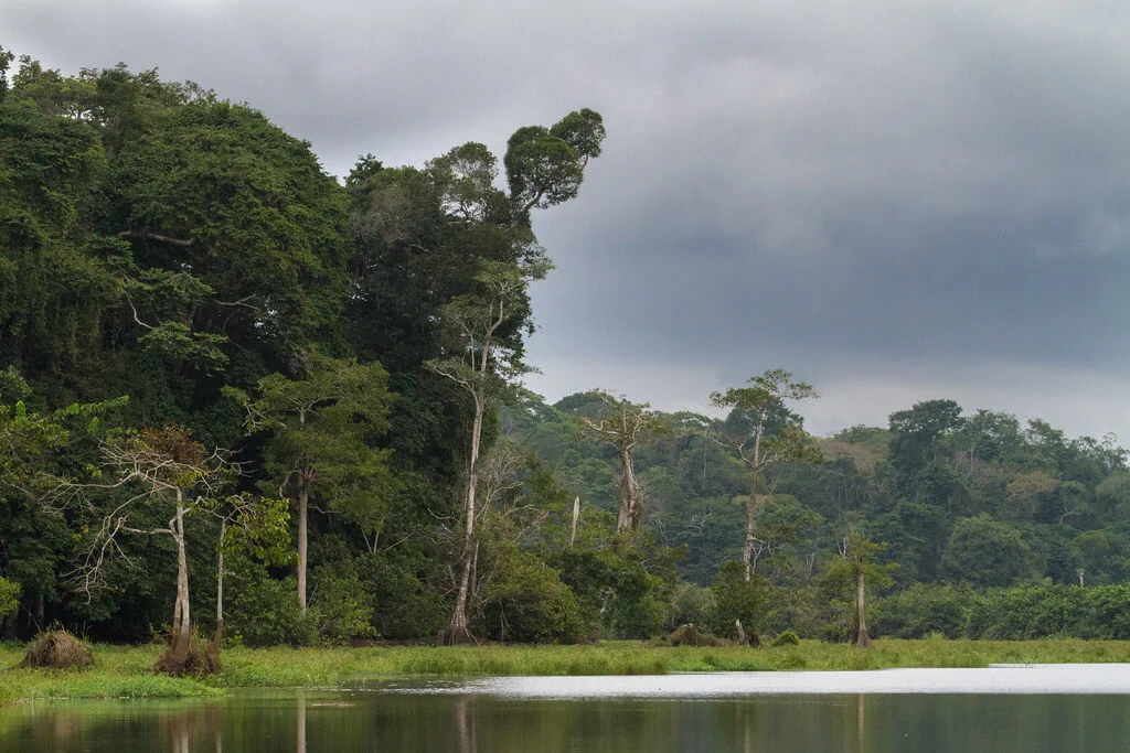 Parc national de Loango, Gabon