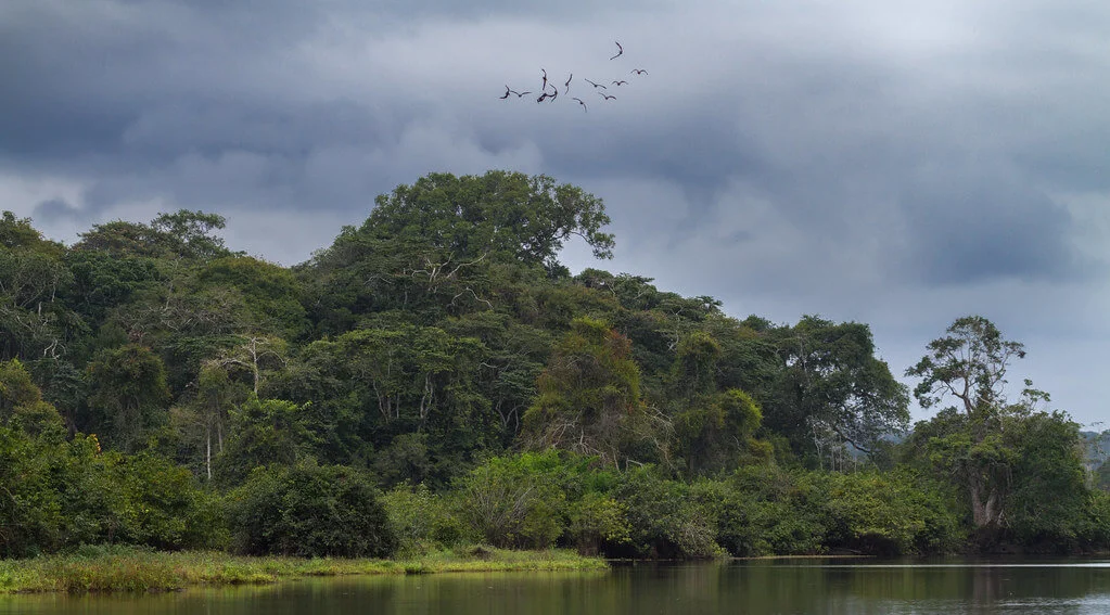 Parc national de Loango, Gabon