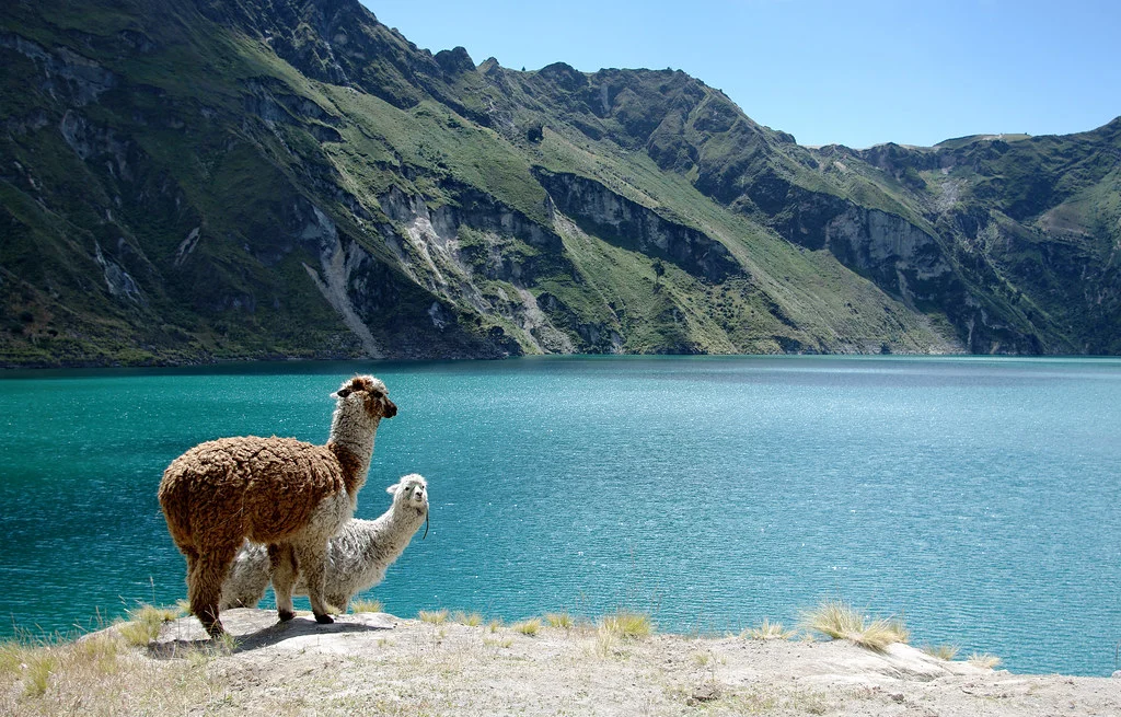 Playa de la Laguna Quilotoa, Équateur