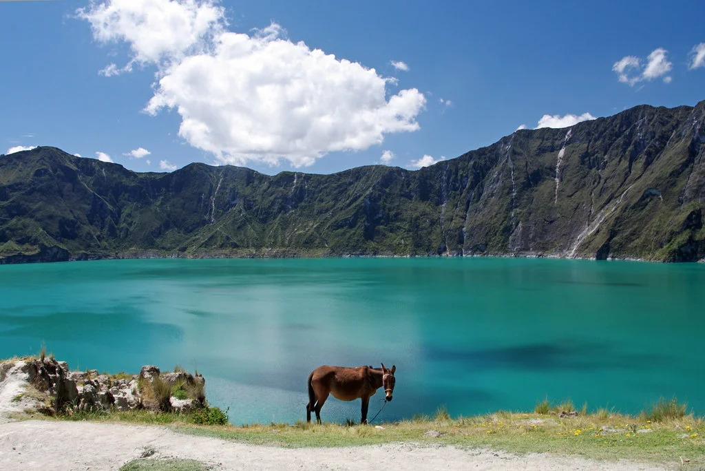Playa de la Laguna Quilotoa, Équateur