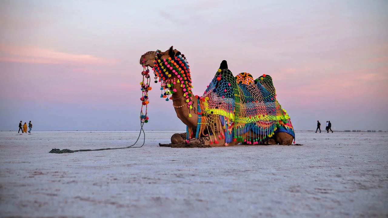 Rann de Kutch, Pakistan, Inde
