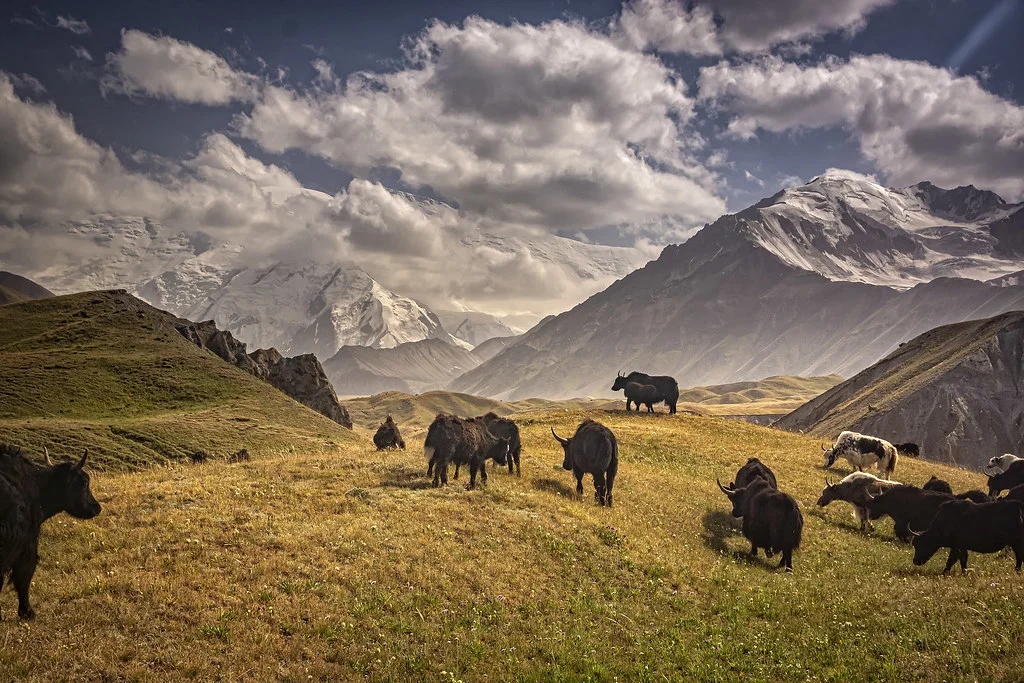 Pamir, Afghanistan, Kirghizistan, Chine, Tadjikistan, Tadjikistan