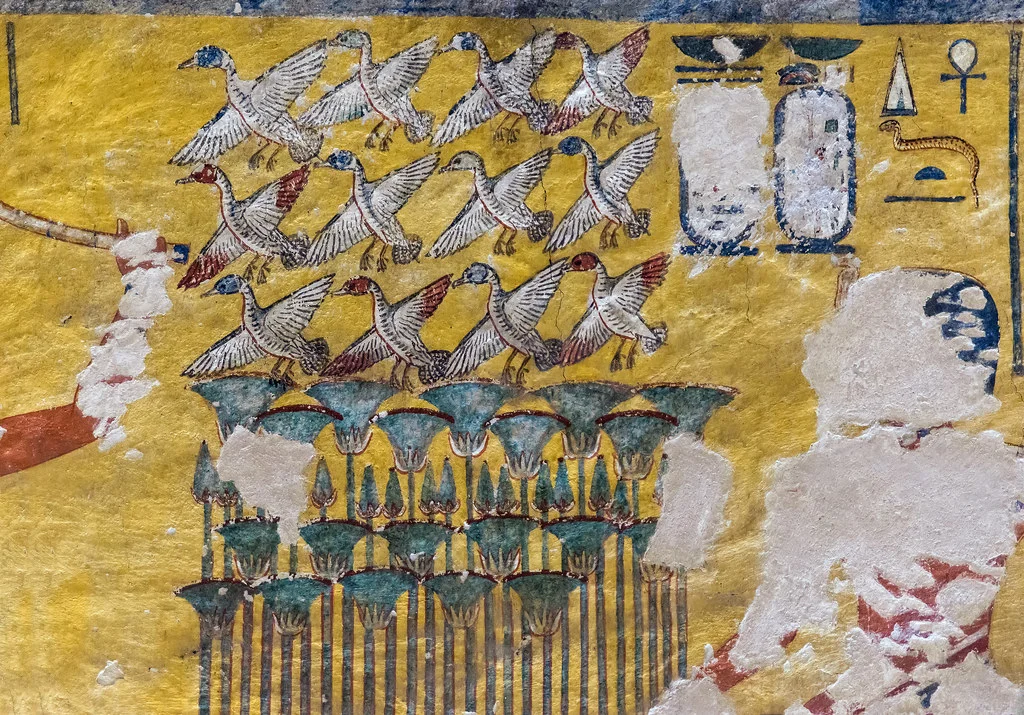 Tombeau WV23, Égypte