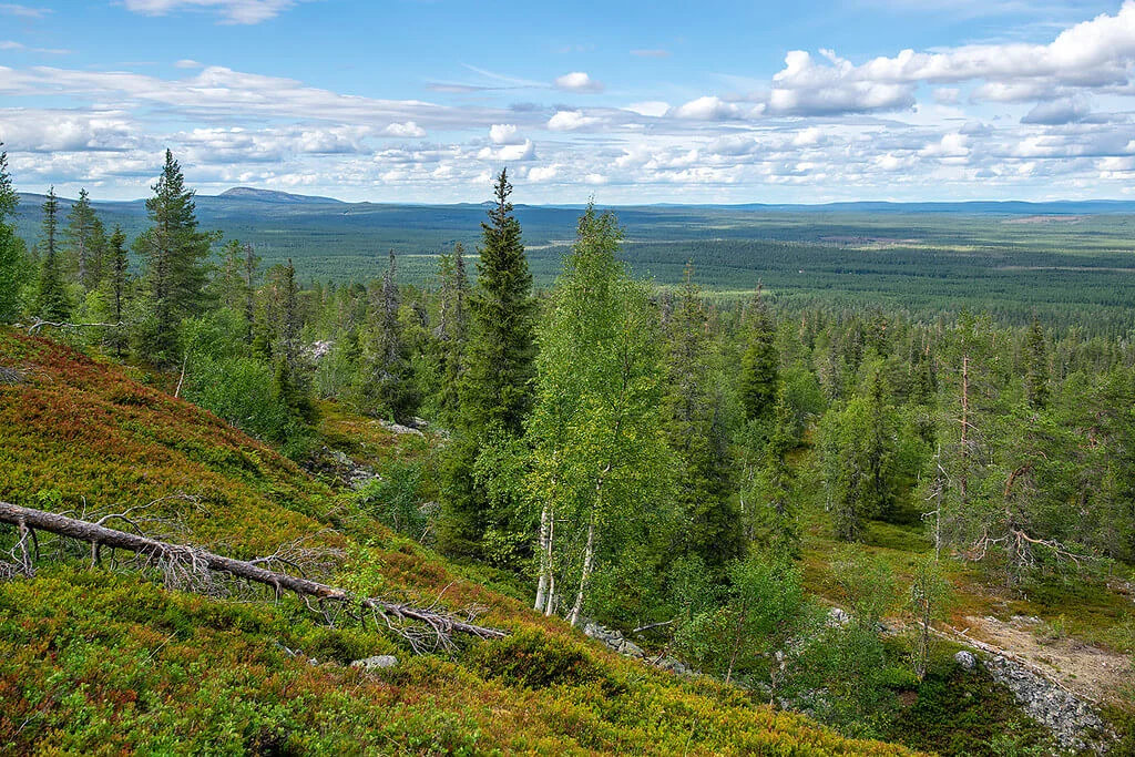 Parc national de Pyha-Luosto, Finlande