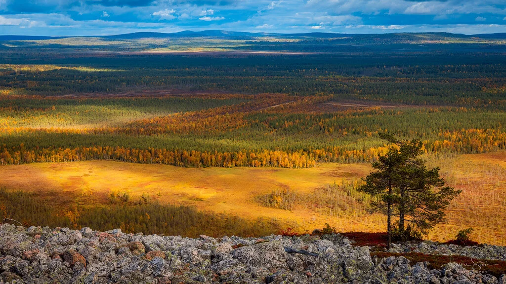 Parc national de Pyha-Luosto, Finlande