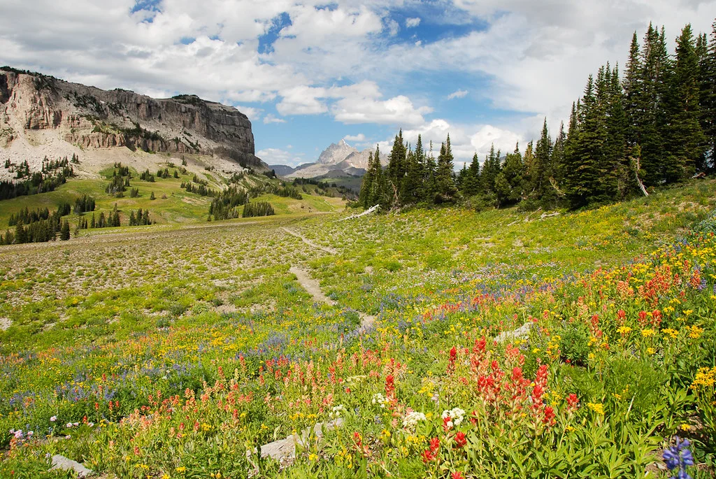 Death Canyon, États-Unis