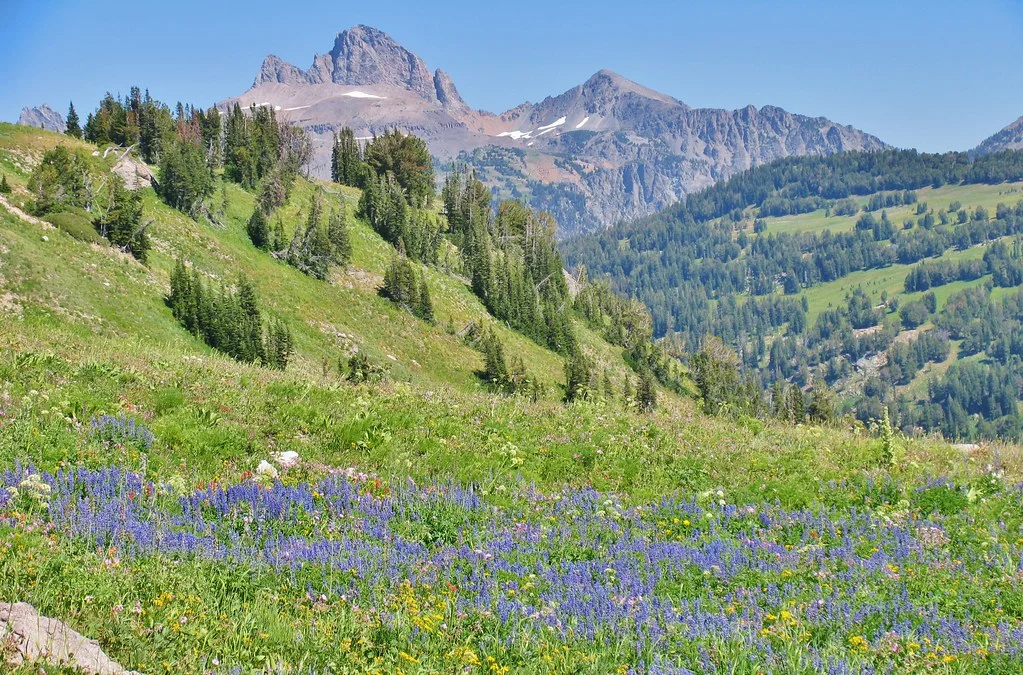 Death Canyon, États-Unis