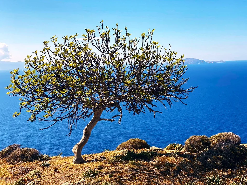 Amorgos, Grèce