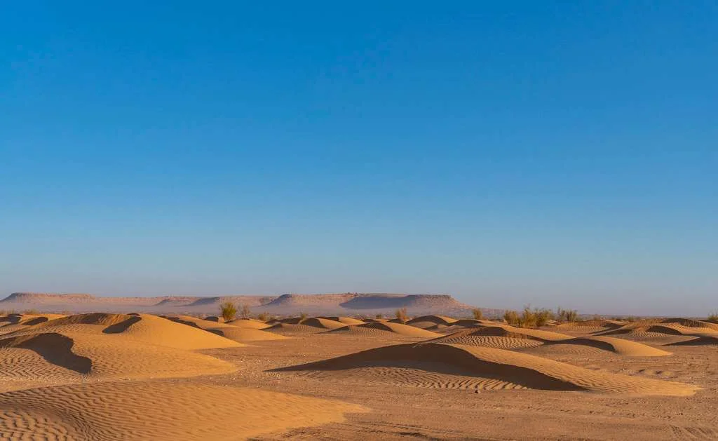 Parc national de Jbil, Tunisie