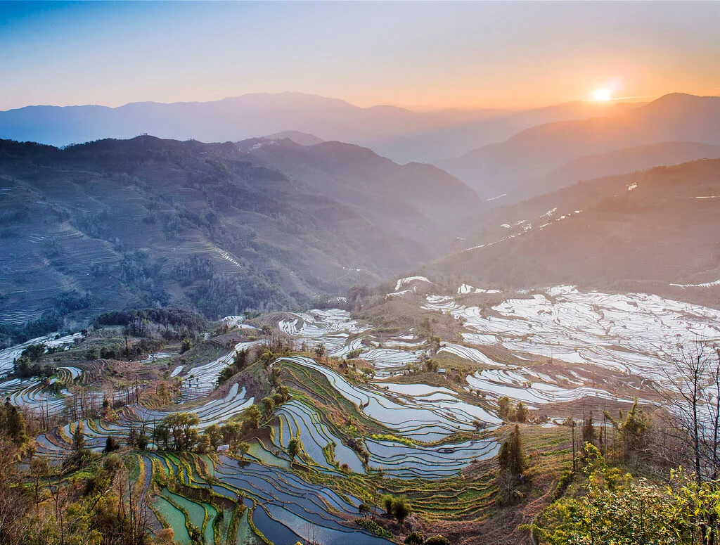 Rizières en terrasse des Hani de Honghe, Chine
