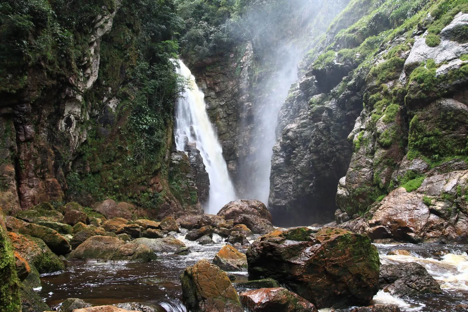 Parc national Jaua-Sarisarinama, Venezuela