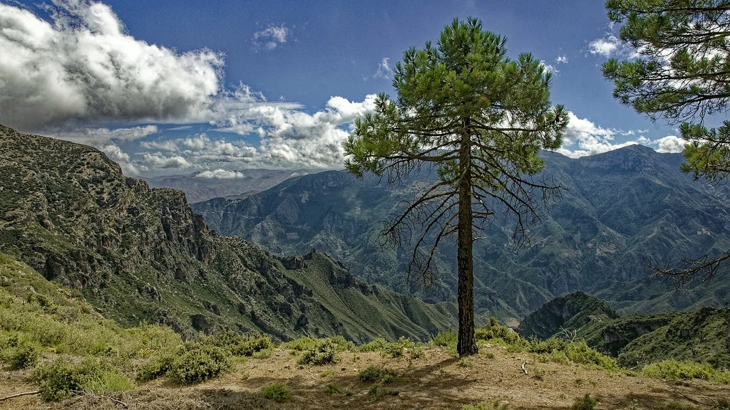 Parc national de Talassemtane, Maroc