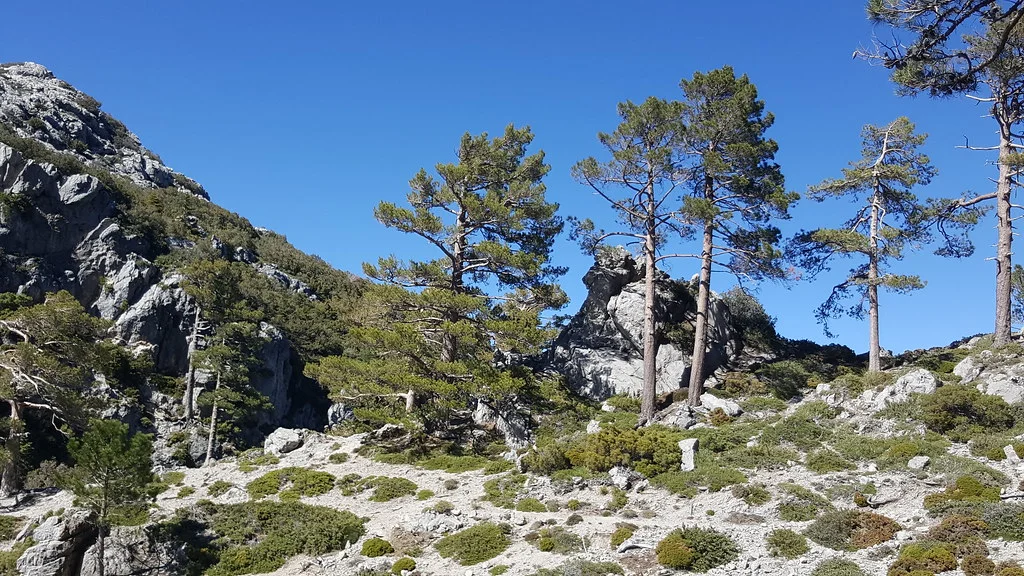 Parc national de Talassemtane, Maroc