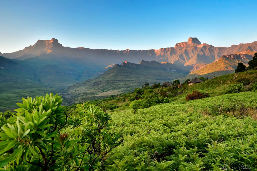 Parc du Drakensberg, Afrique du Sud