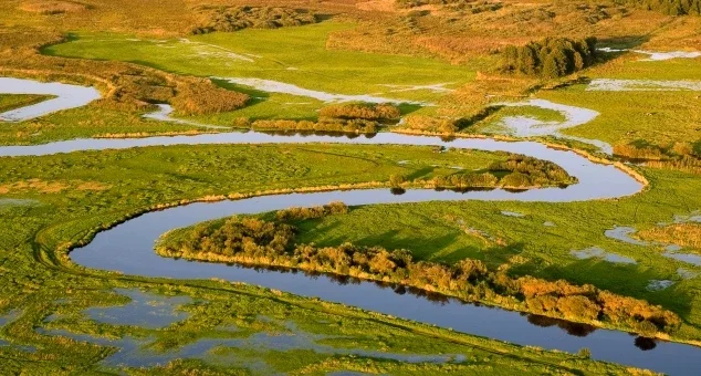 Parc national de la Biebrza, Pologne