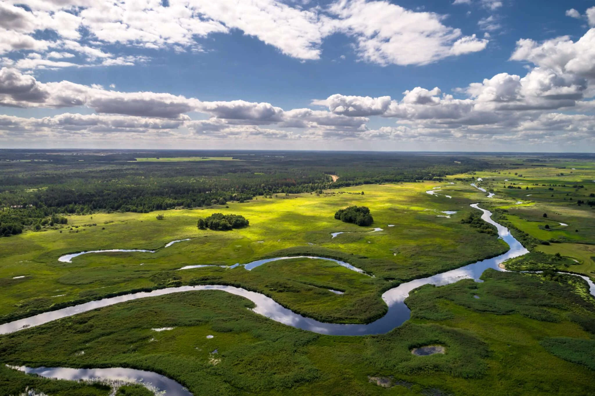 Parc national de la Biebrza, Pologne