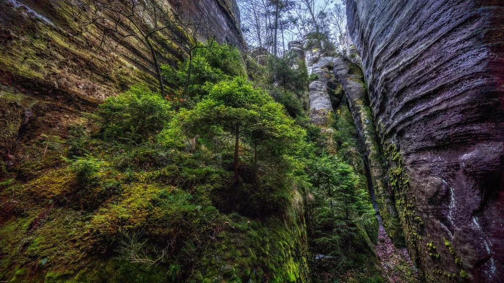 Adrspach Rock, République tchèque