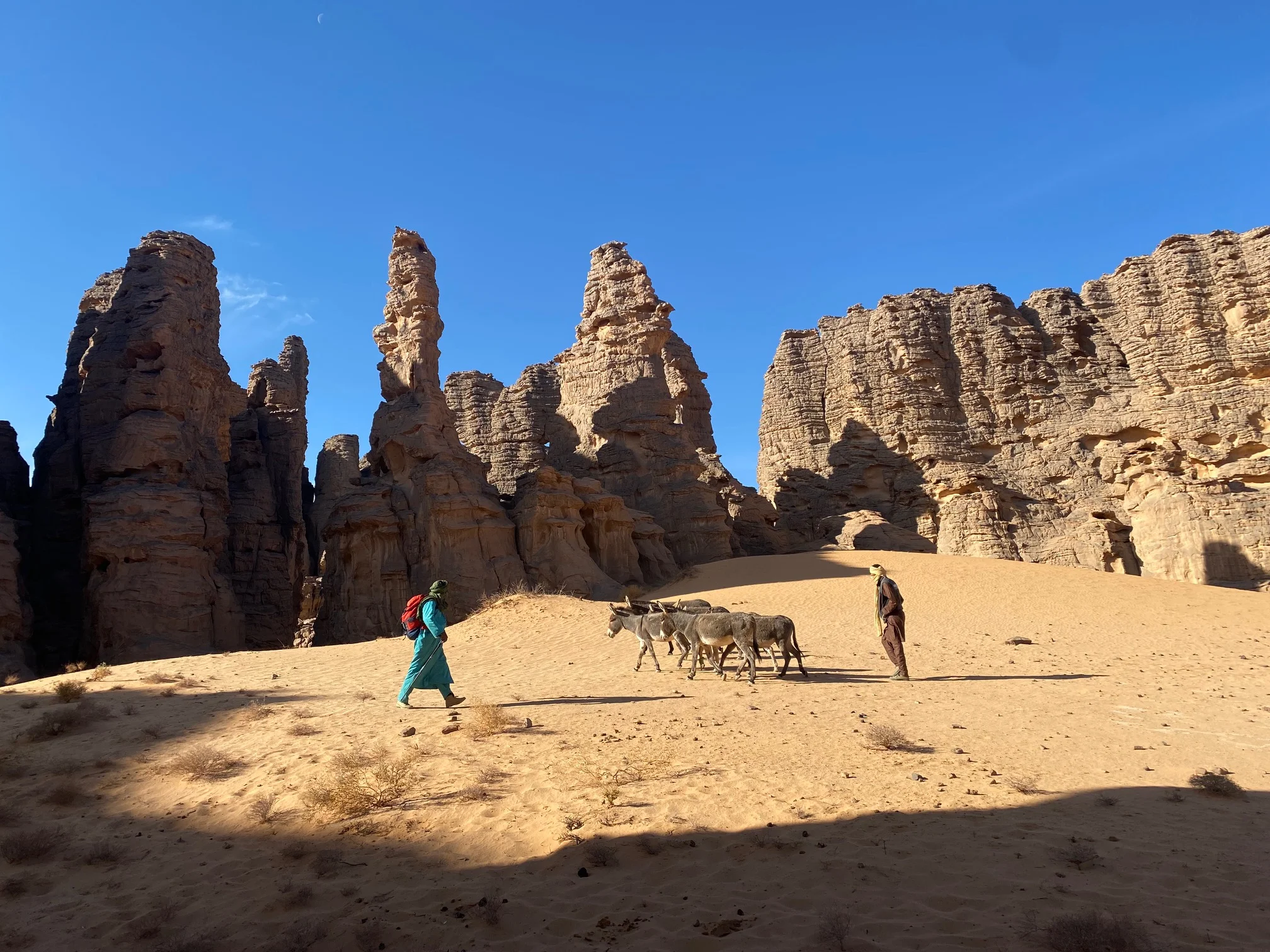 Sefar Noir, Algérie