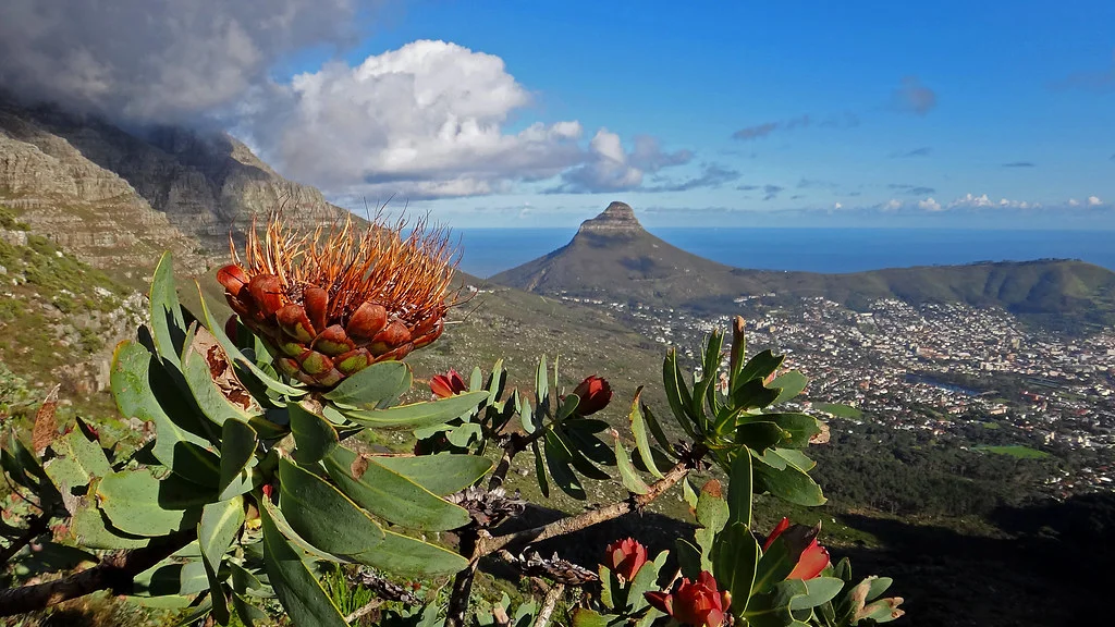 Platteklip Gorge, Afrique du Sud