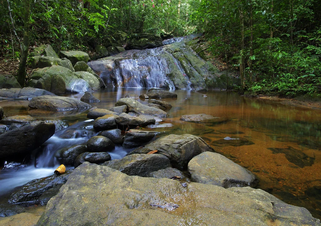 Réserve forestière de Sinharaja, Sri Lanka