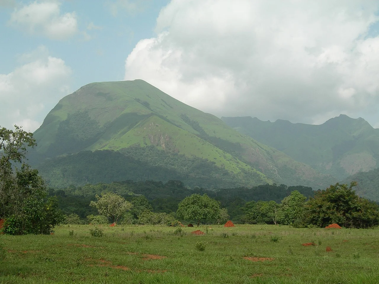 Mont Nimba, Guinée, Côte d’Ivoire, Libéria
