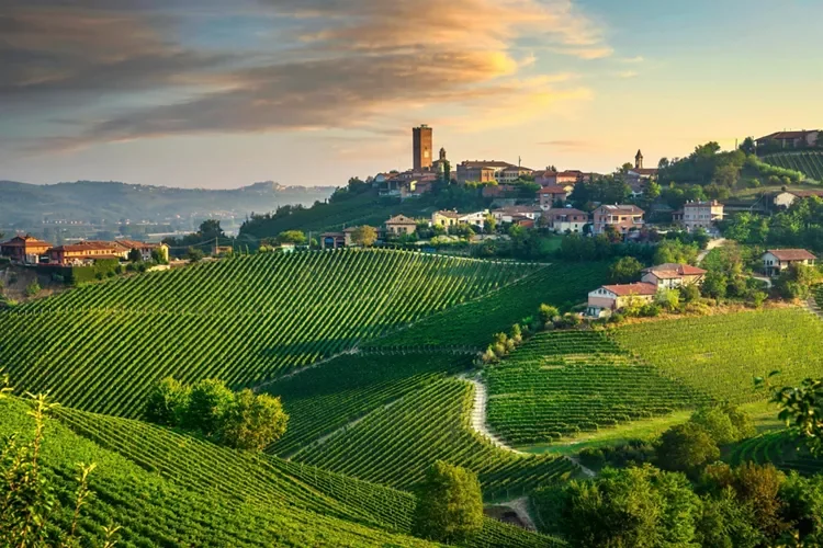 Barbaresco, Italie