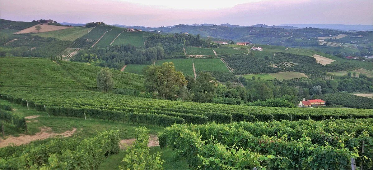 Barbaresco, Italie