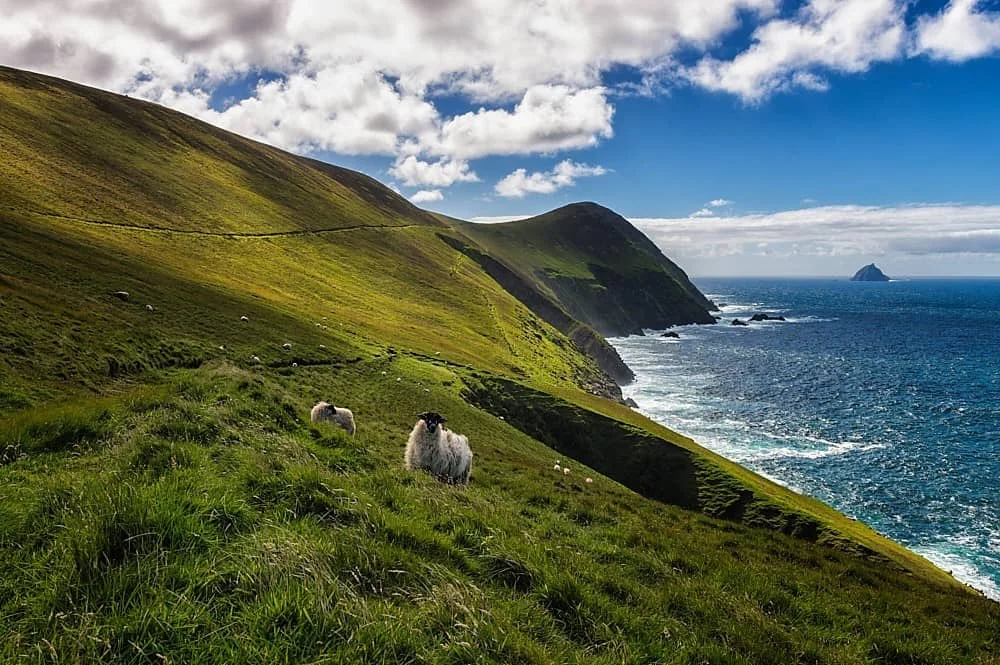 An Blascaod Mor, Irlande