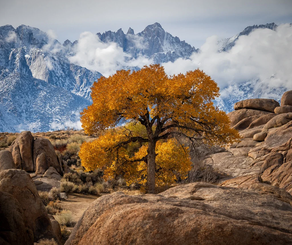 Mont Whitney, États-Unis