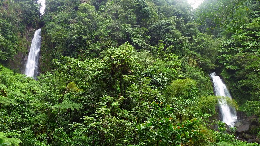 Parc national de Morne Trois Pitons, Dominique