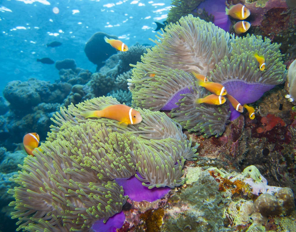 Huvadhu, Maldives