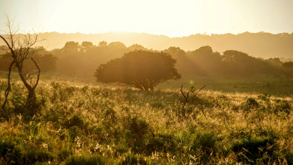 Parc de la zone humide d'Isimangaliso, Afrique du Sud