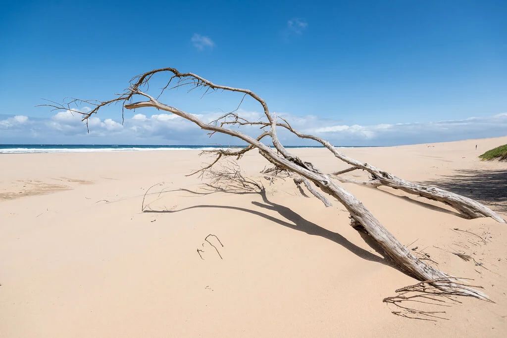 Parc de la zone humide d'Isimangaliso, Afrique du Sud