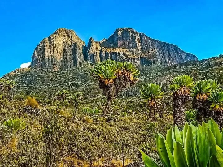 Mont Elgon, Ouganda, Kenya, Kenya
