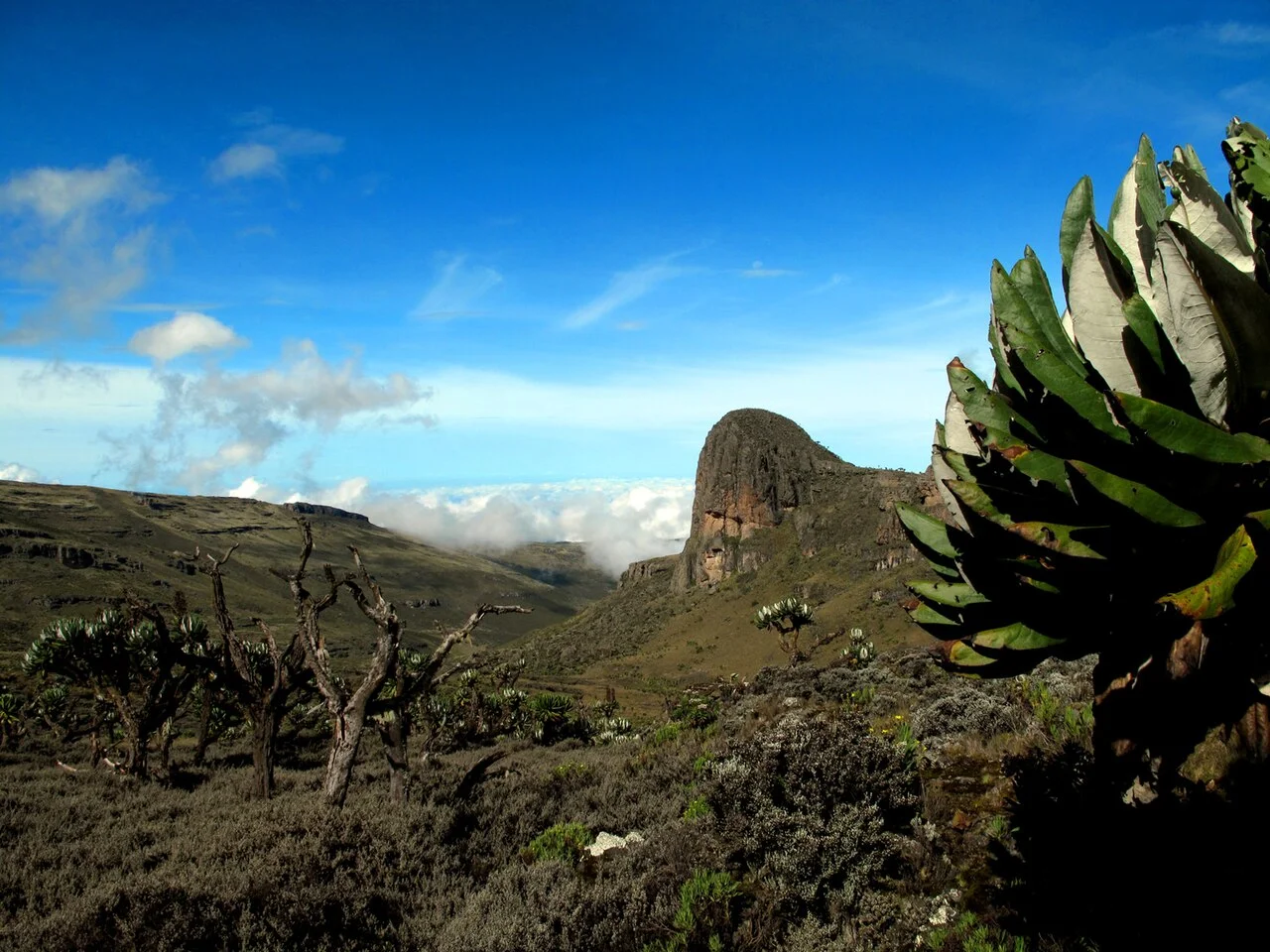 Mont Elgon, Ouganda, Kenya, Kenya