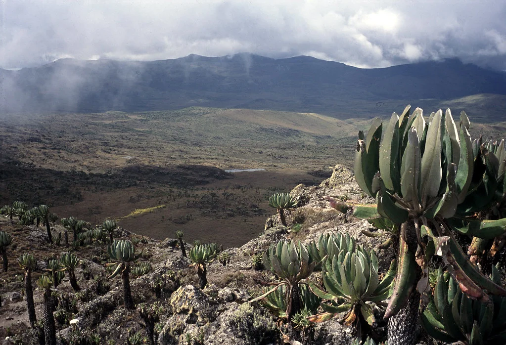 Mont Elgon, Ouganda, Kenya, Kenya