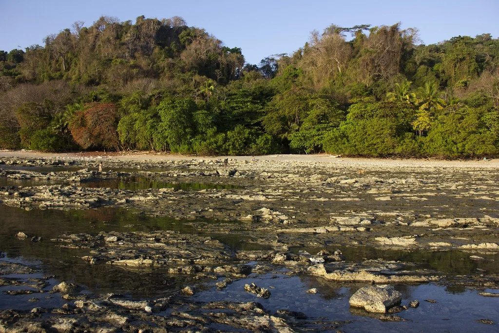 Réserve nationale absolue de Cabo Blanco, Costa Rica