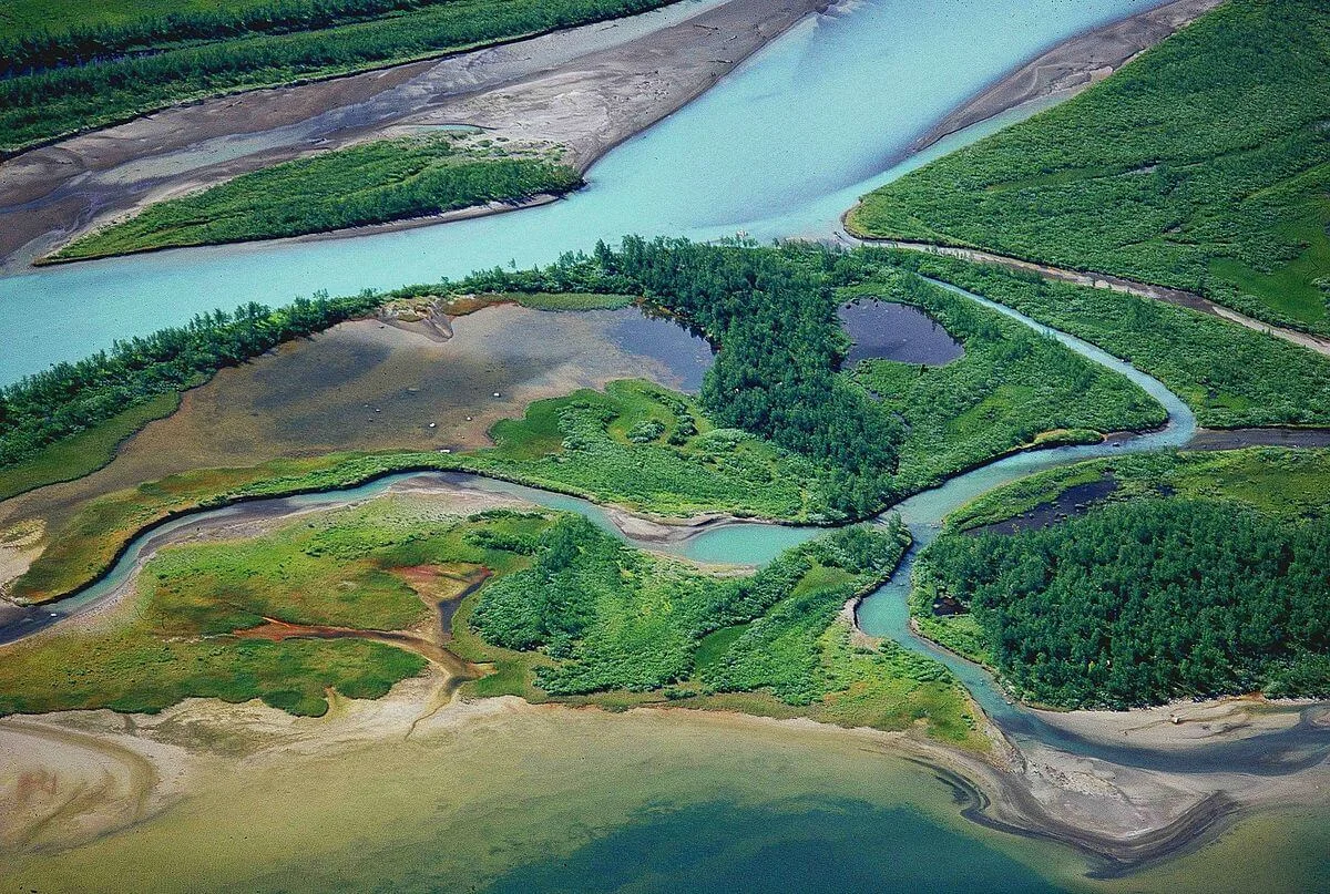 Delta de Laitaure, Suède