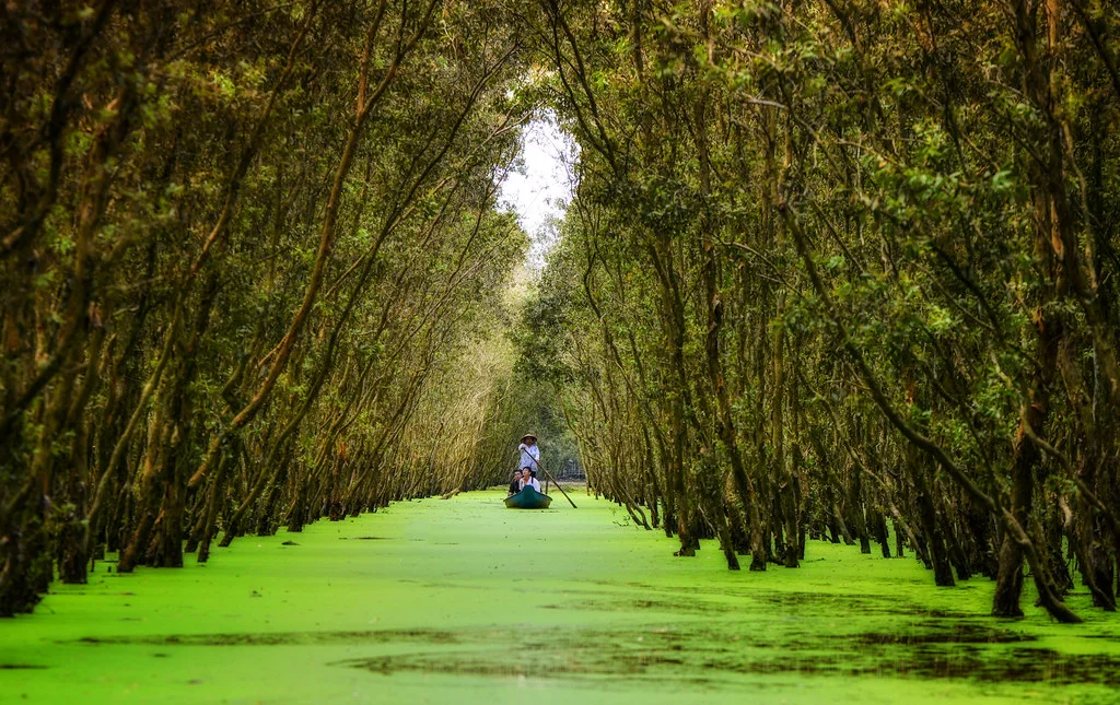 Tra Su, Vietnam
