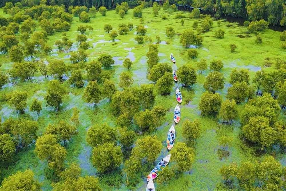 Tra Su, Vietnam