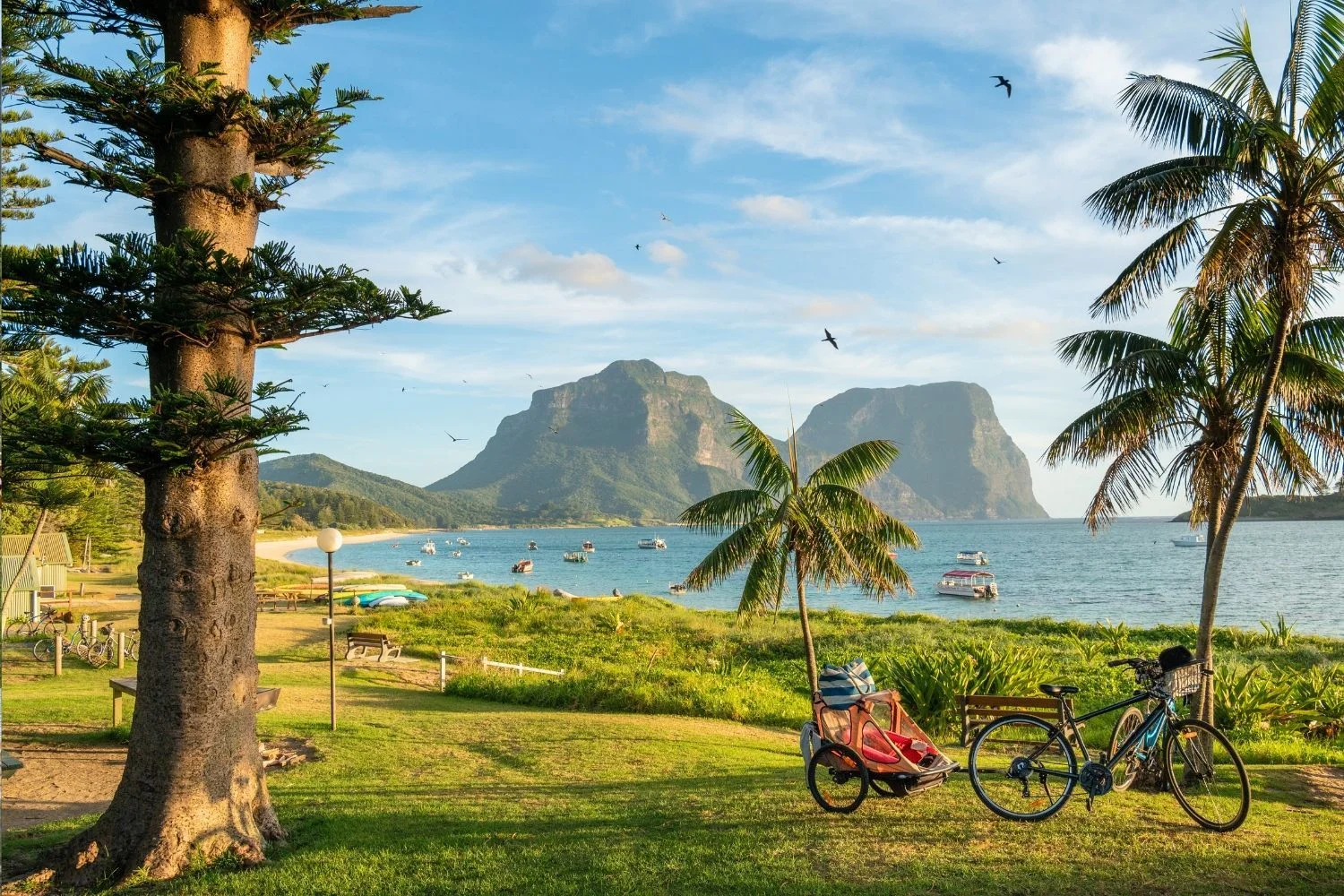 Mont Lidgbird, Australie