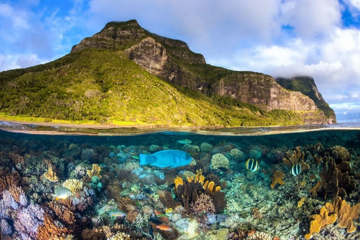 Mont Lidgbird, Australie