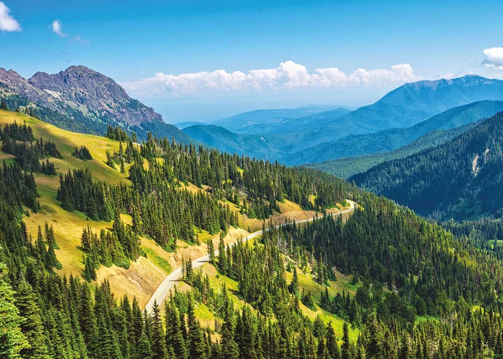 Hurricane Ridge, États-Unis