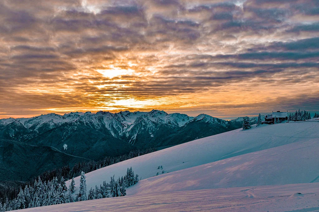 Hurricane Ridge, États-Unis