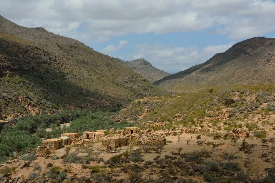 Plateau de Momi, Yémen, Socotra