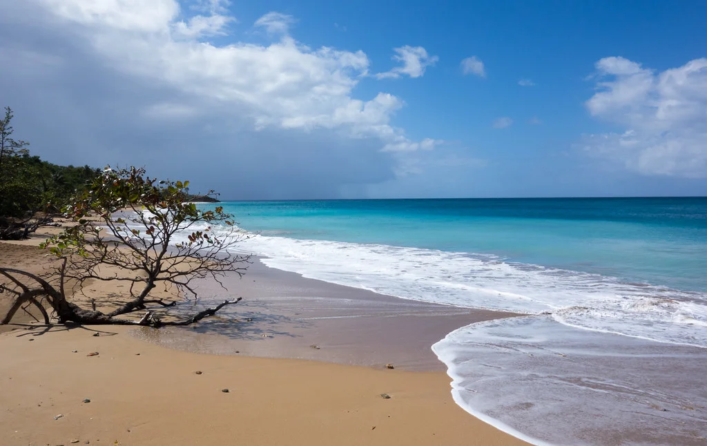 Plage de la Perle, Guadeloupe