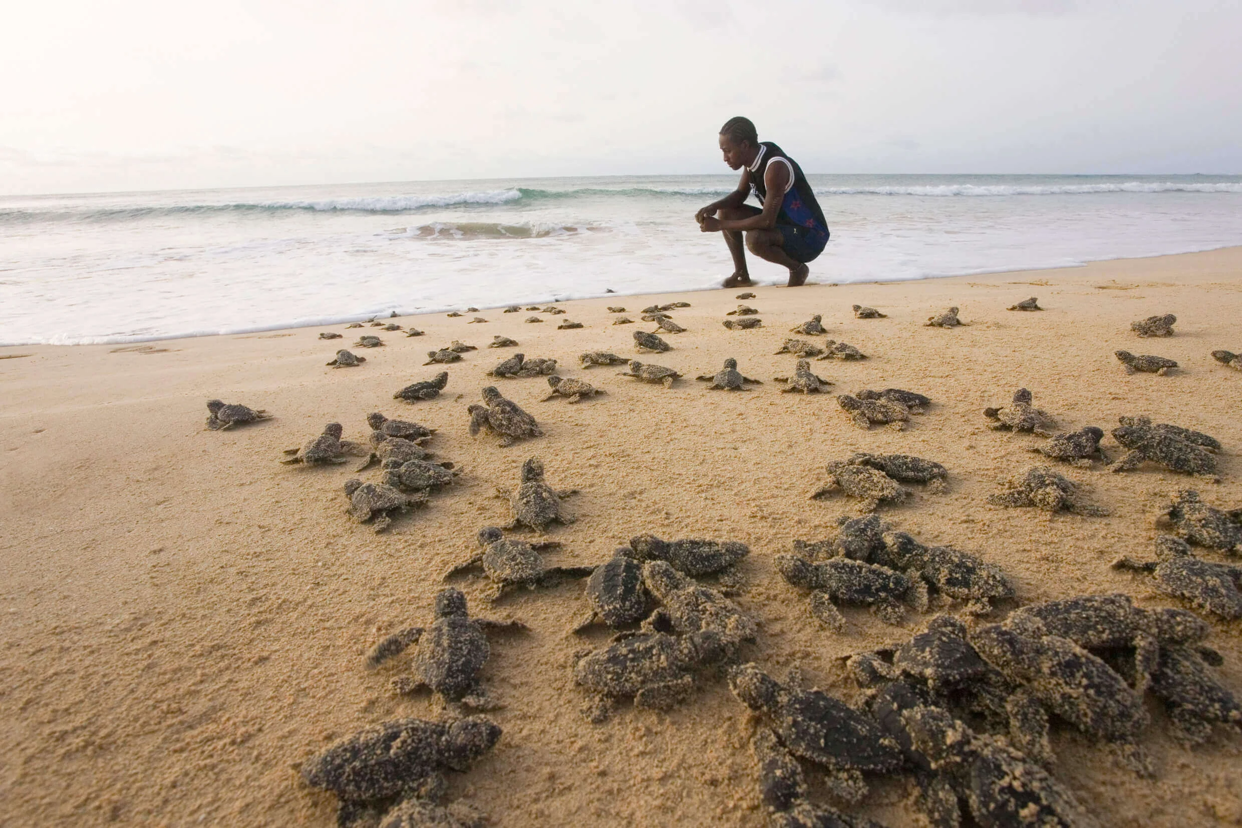 Parc national marin des îles Joao Vieira-Poilao, Guinée-Bissau