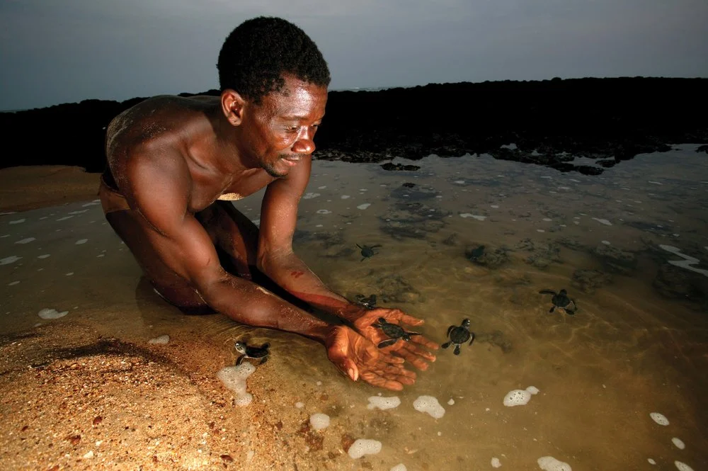 Parc national marin des îles Joao Vieira-Poilao, Guinée-Bissau